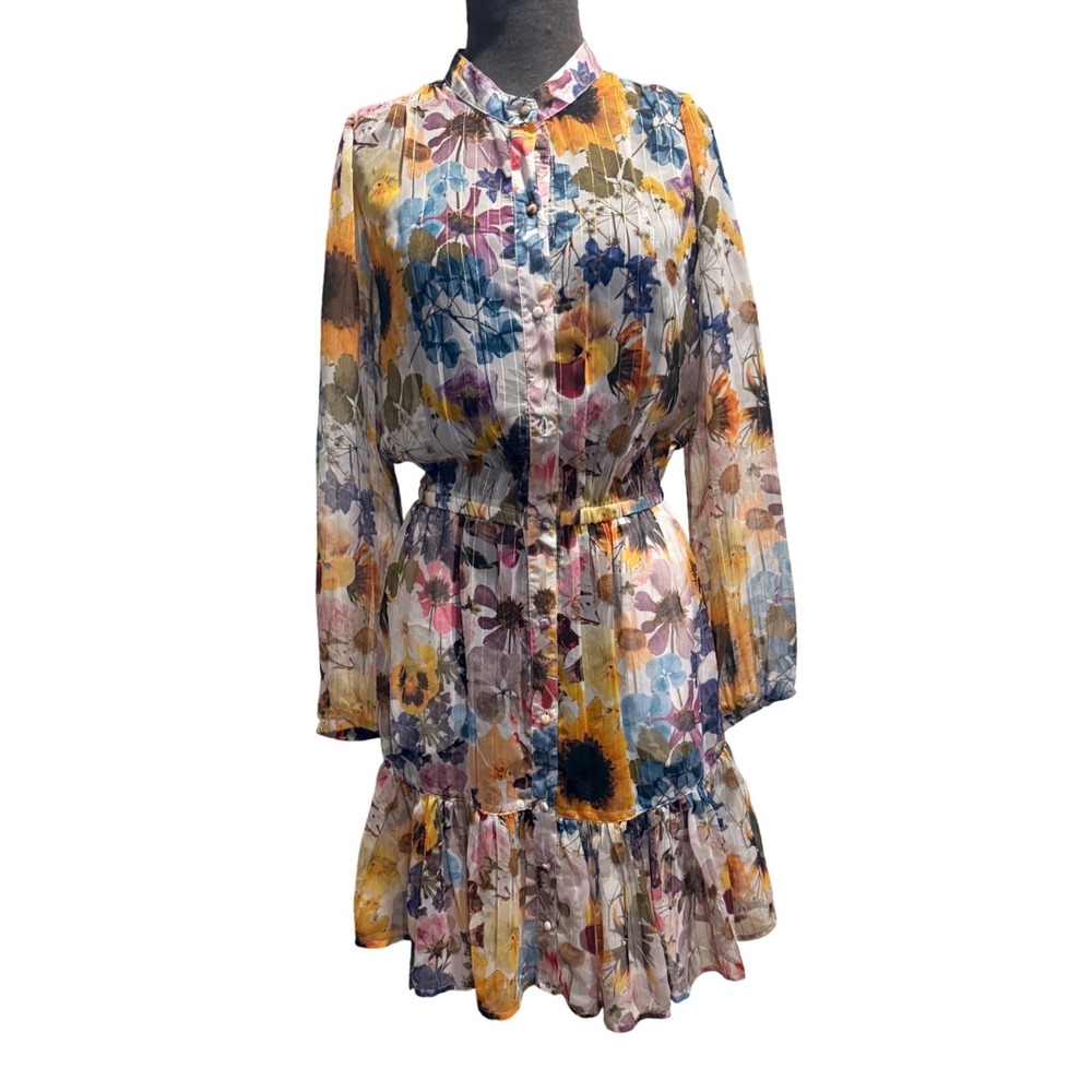 Boston Proper Floral Metallic Stripe Button Front Ruffle Dress XS Multi‎ Color